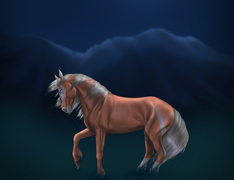 Brown Horse with White Mane — Dramatic, Night