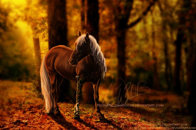 Brown Horse with White Mane — Serene, Autumn