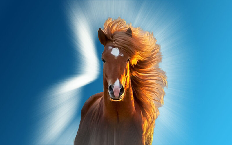 Brown Horse with White Marking — Blue