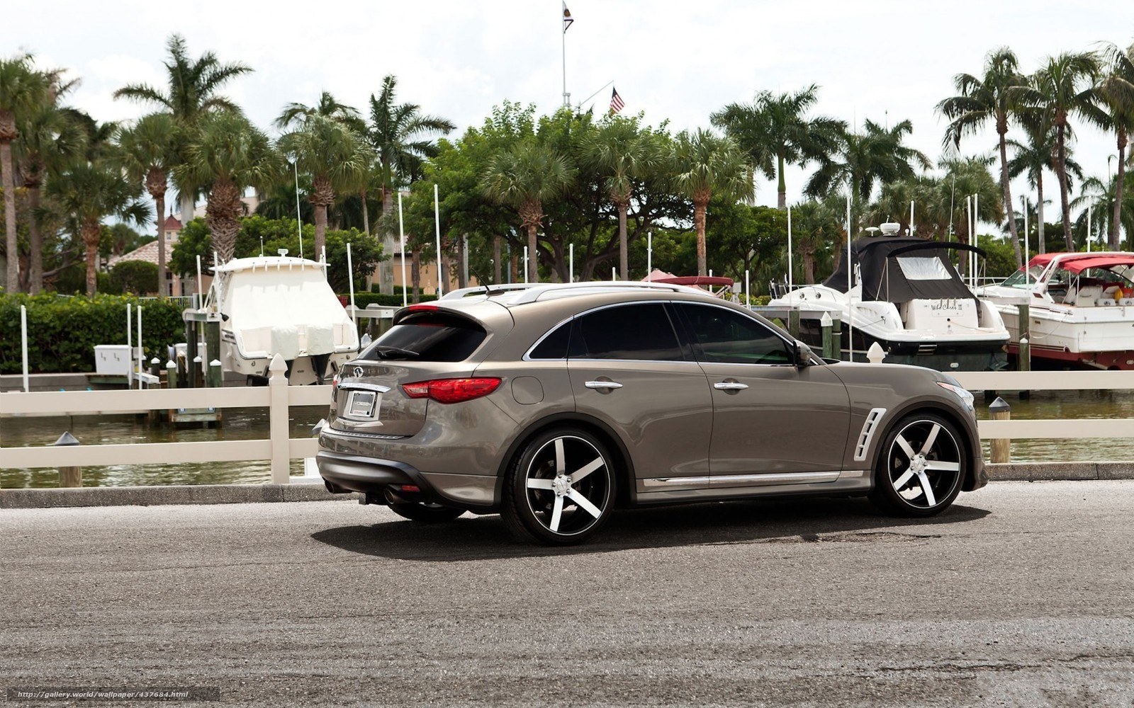 Brown Infiniti FX parked by marina