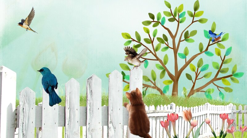 Brown Kitten Chasing Birds