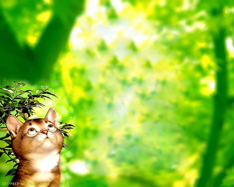 Brown Kitten in Green Leaves
