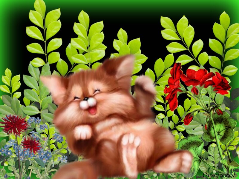 Brown Kitten Laughing