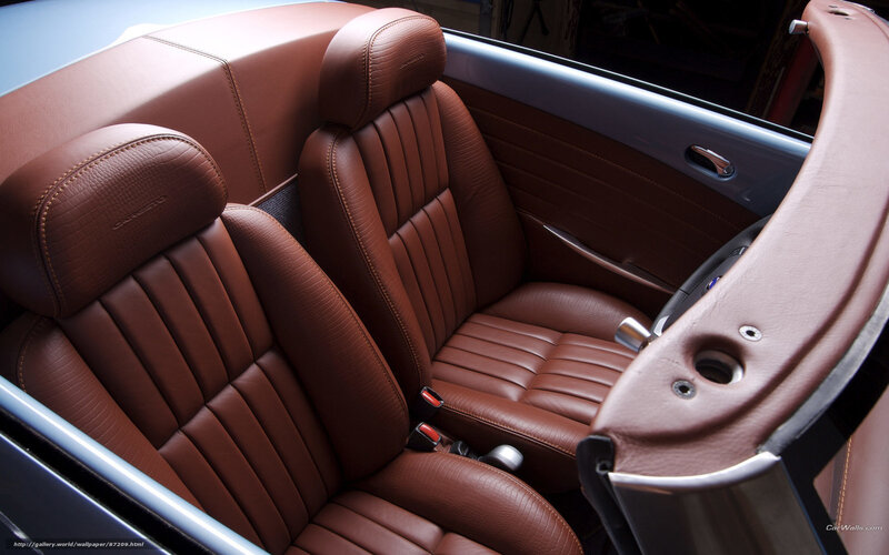 Brown Leather Car Seats — Neutral