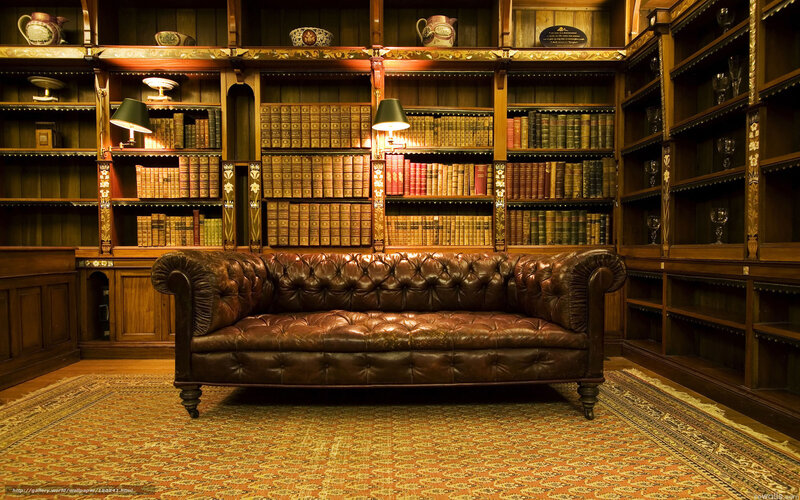 Brown Leather Sofa — Cozy