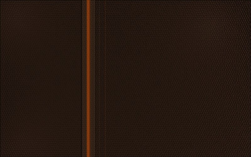 Brown Leather Texture — Neutral, Photograph, Stitching, Strip
