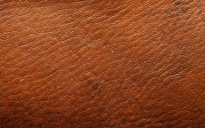 Brown Leather Texture — Neutral, Photograph