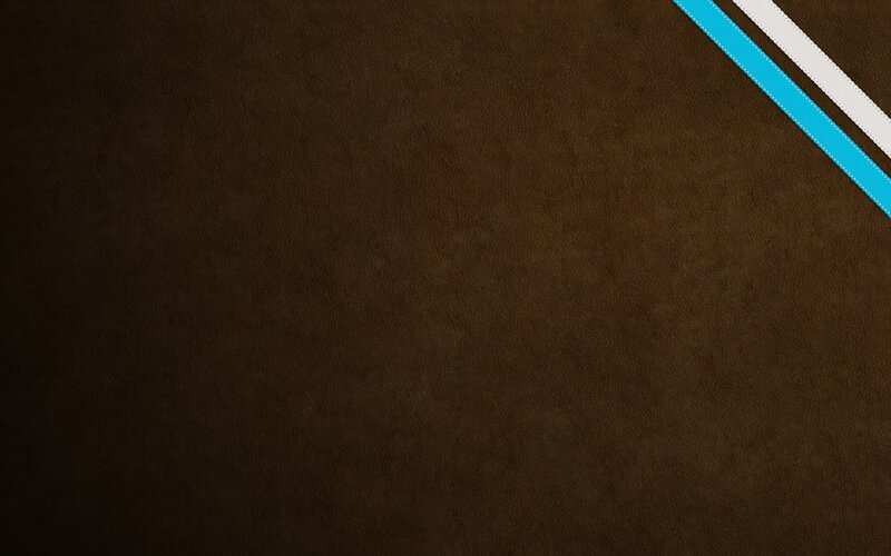 brown leather with blue and white stripes