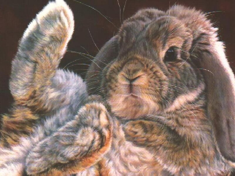 Brown Lop-eared Rabbit — Calm, Painting