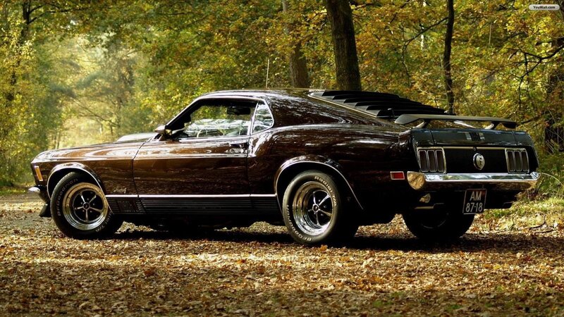 Brown Muscle Car — Serene, Autumn