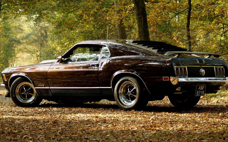 Brown Muscle Car