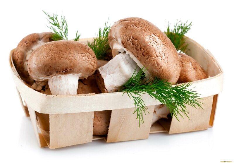 Brown Mushrooms in Basket — Fresh