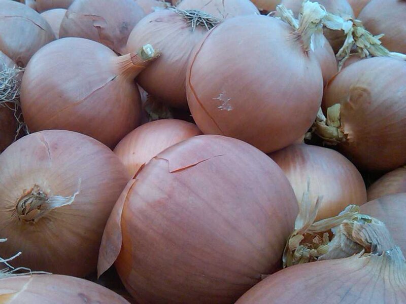 Brown Onions in a Pile