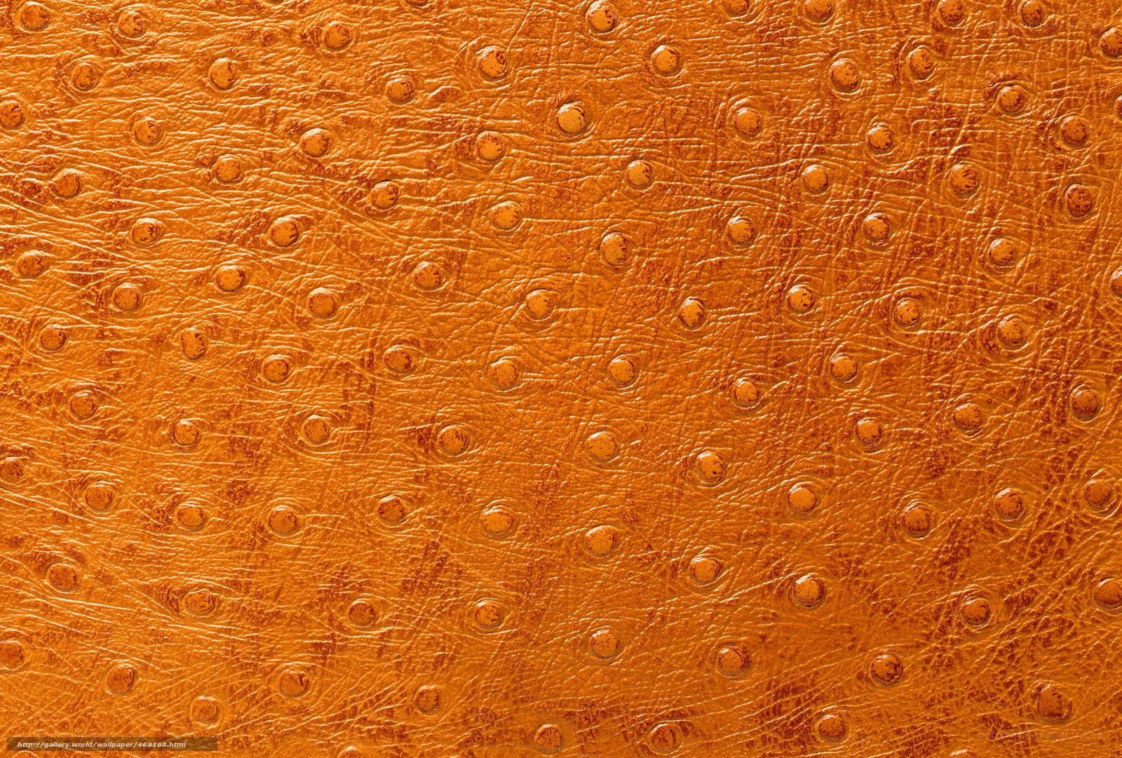 brown ostrich leather texture
