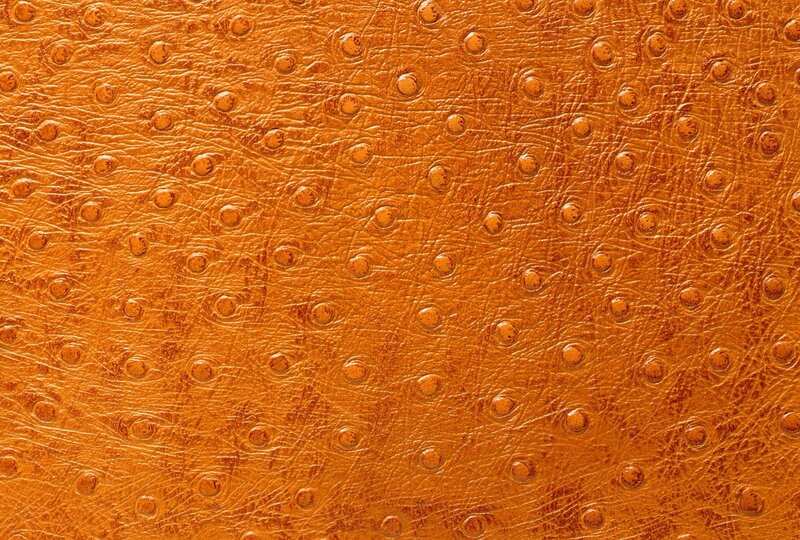 brown ostrich leather texture