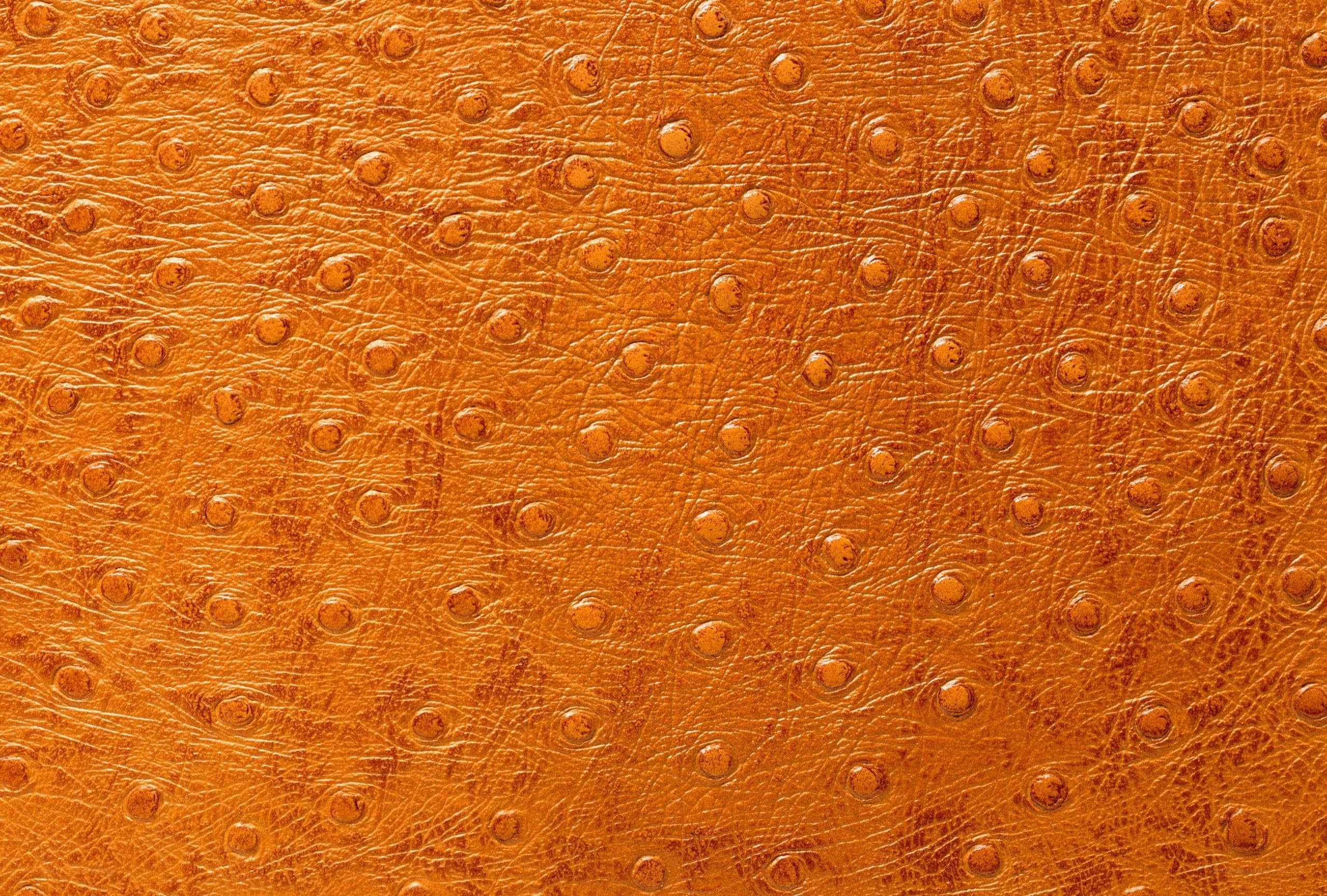 brown ostrich leather texture