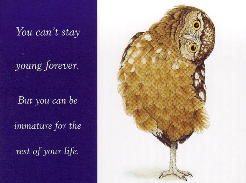 Brown Owl Standing