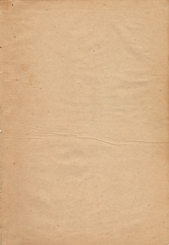 Brown Paper Surface — Neutral