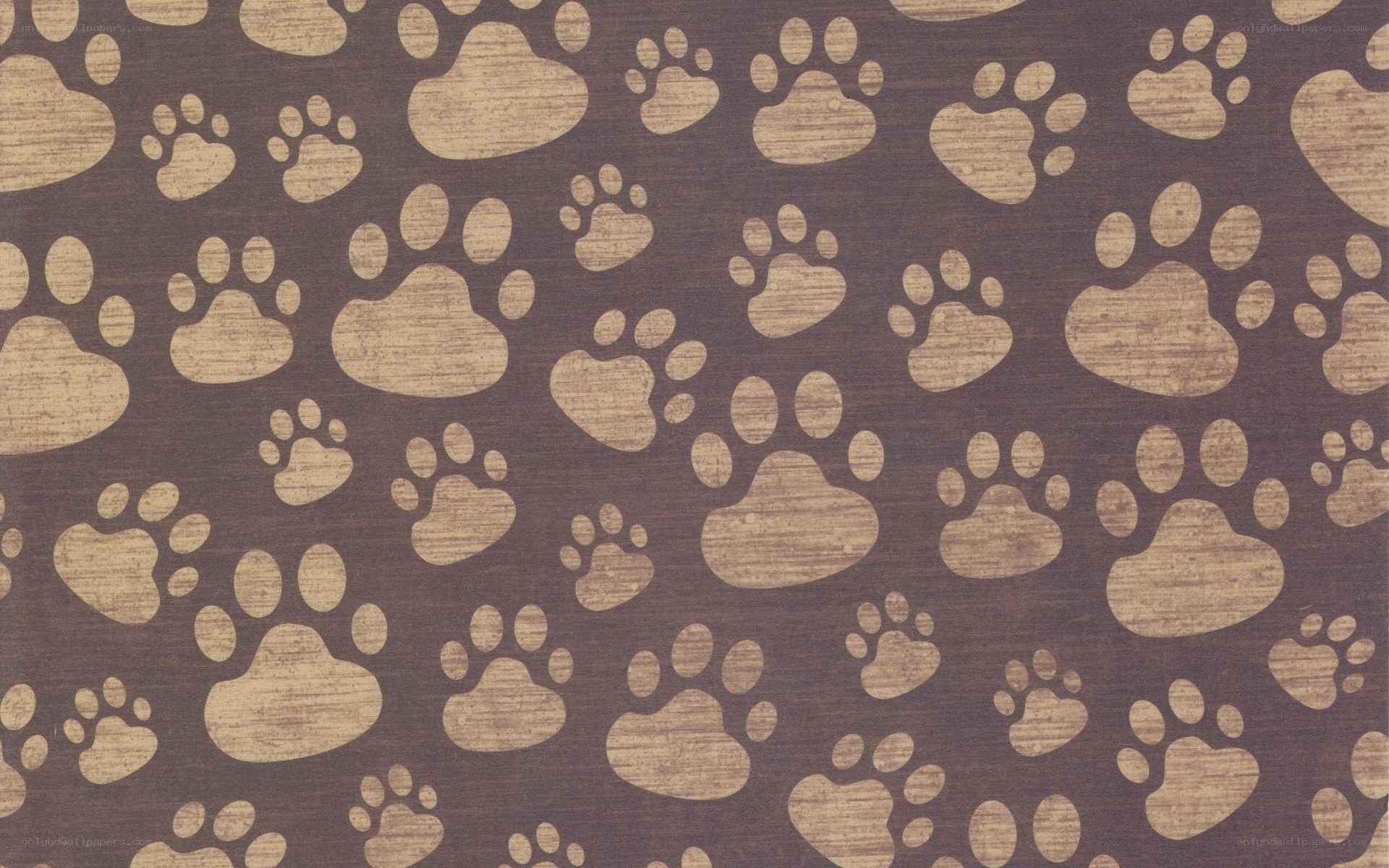 brown paw print pattern