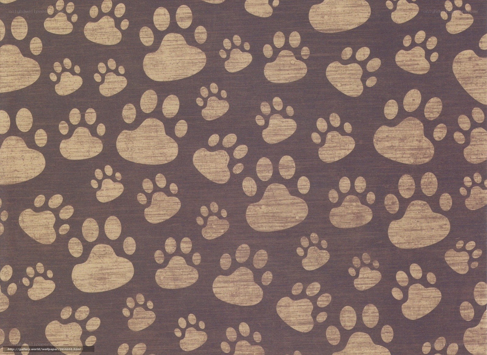 brown paw print pattern