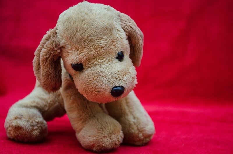 Brown Plush Dog Toy
