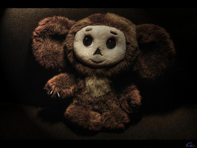 Brown Plush Toy
