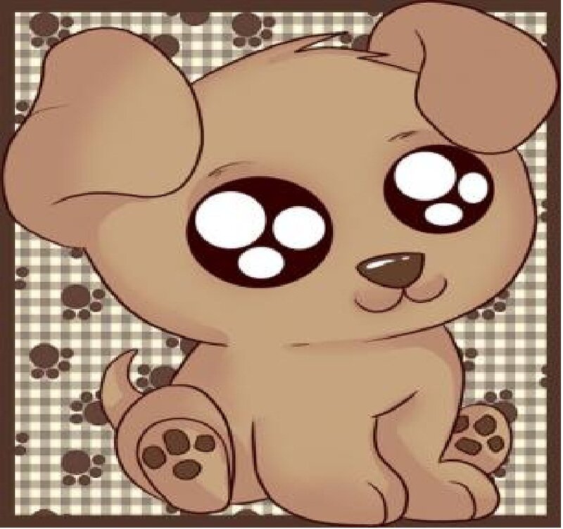 Brown Puppy with Big Eyes