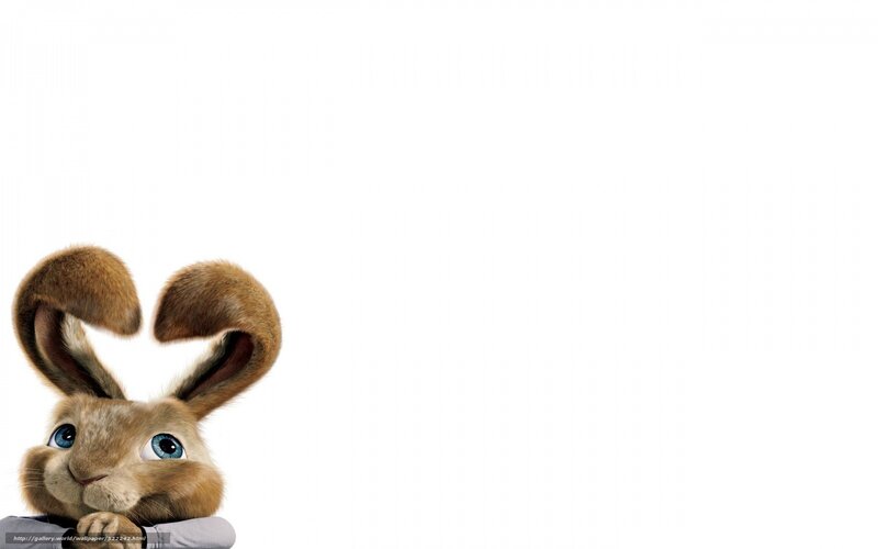 Brown Rabbit Character