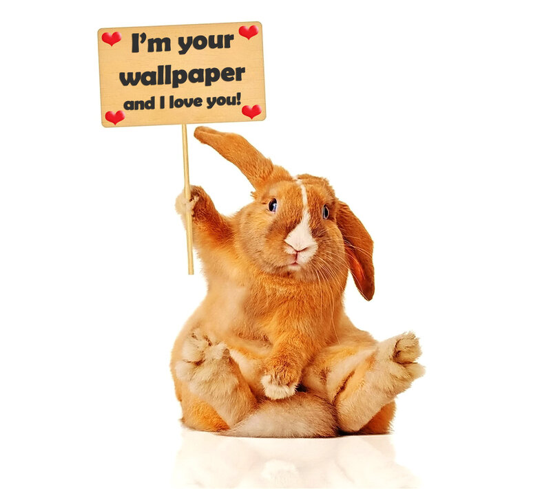 Brown Rabbit Holding Sign — Playful