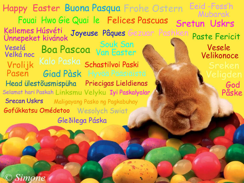 Brown Rabbit in Candy