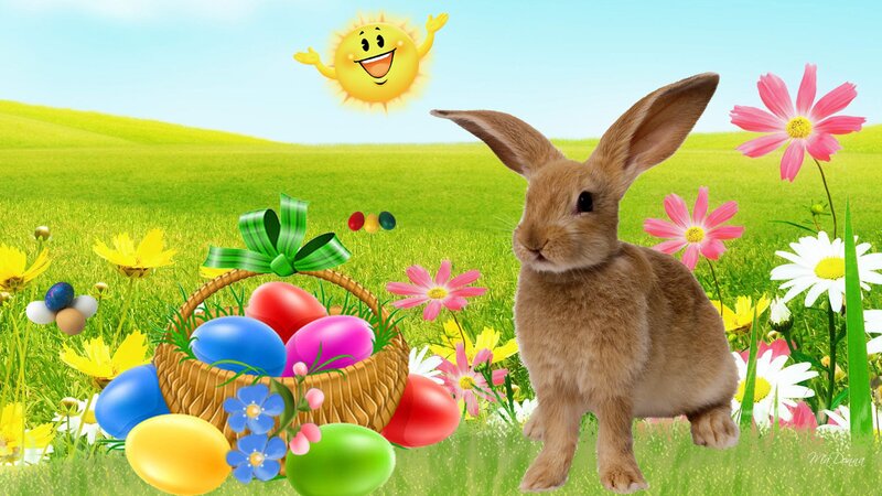 Brown Rabbit in Field — Green