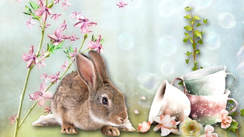 Brown Rabbit in Flowers — Pink