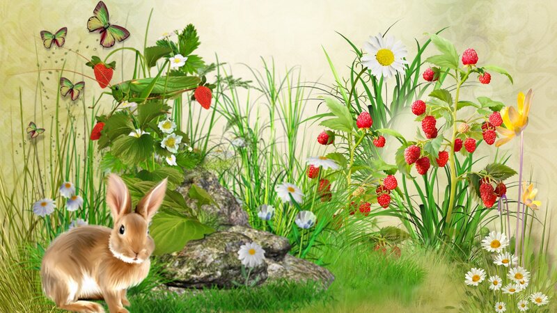 Brown Rabbit in Garden — Green