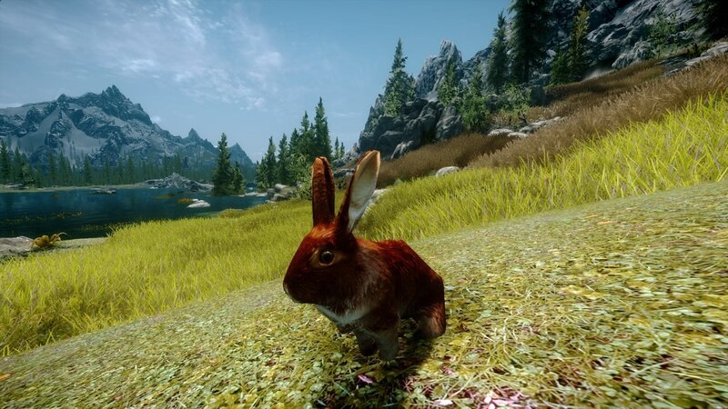 Brown Rabbit in Grass — Green, Serene, Afternoon, 3d Render