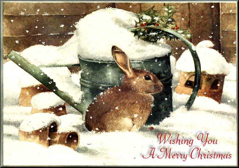 Brown Rabbit in Snow — White, Peaceful