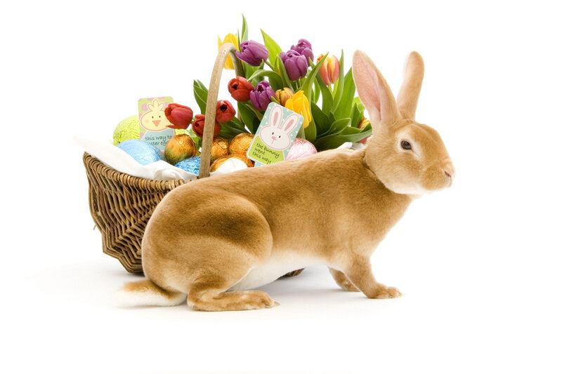 Brown Rabbit with Basket — Festive