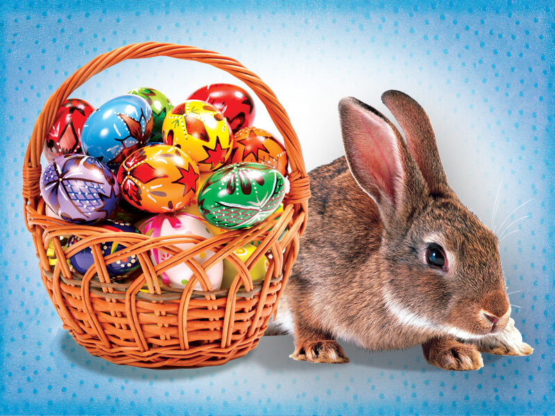 Brown Rabbit with Basket