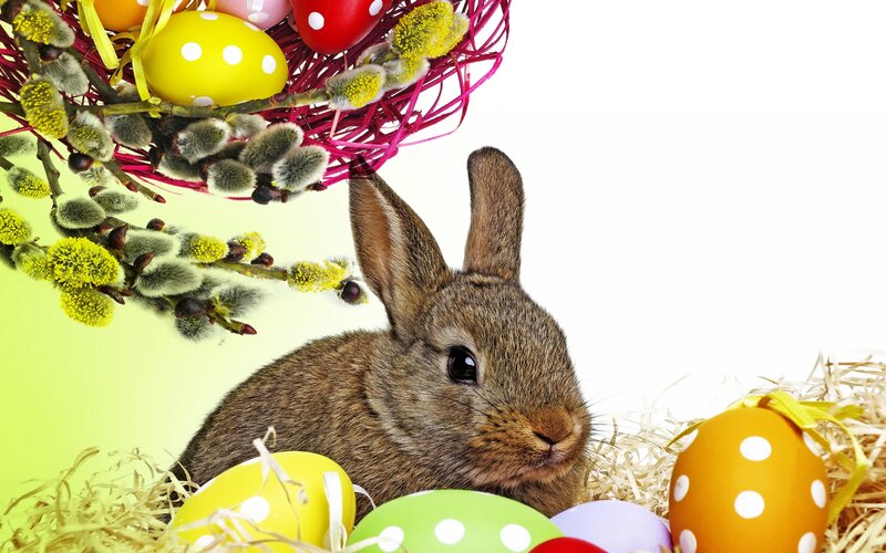 Brown Rabbit with Eggs — Yellow, Festive