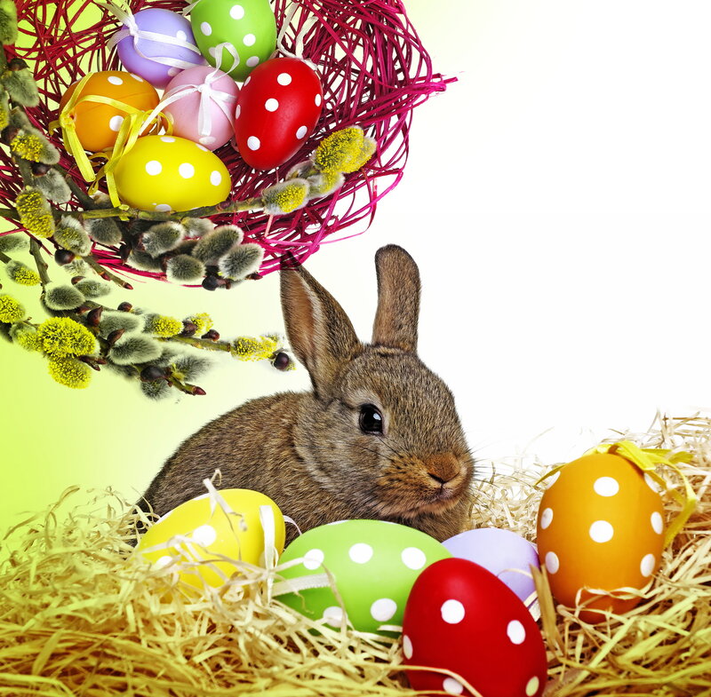 Brown Rabbit with Eggs — Yellow