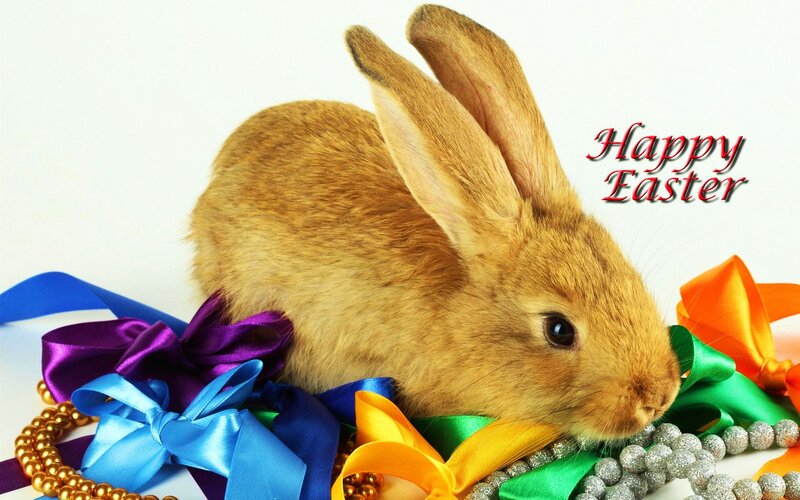 Brown Rabbit with Ribbons — Festive