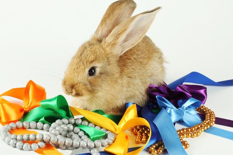 Brown Rabbit with Ribbons — White