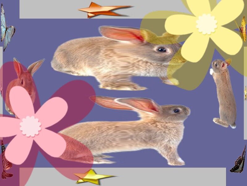 Brown Rabbits in Collage