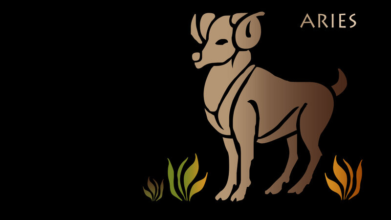 Brown Ram Standing