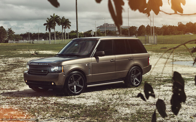 Brown Range Rover in a field
