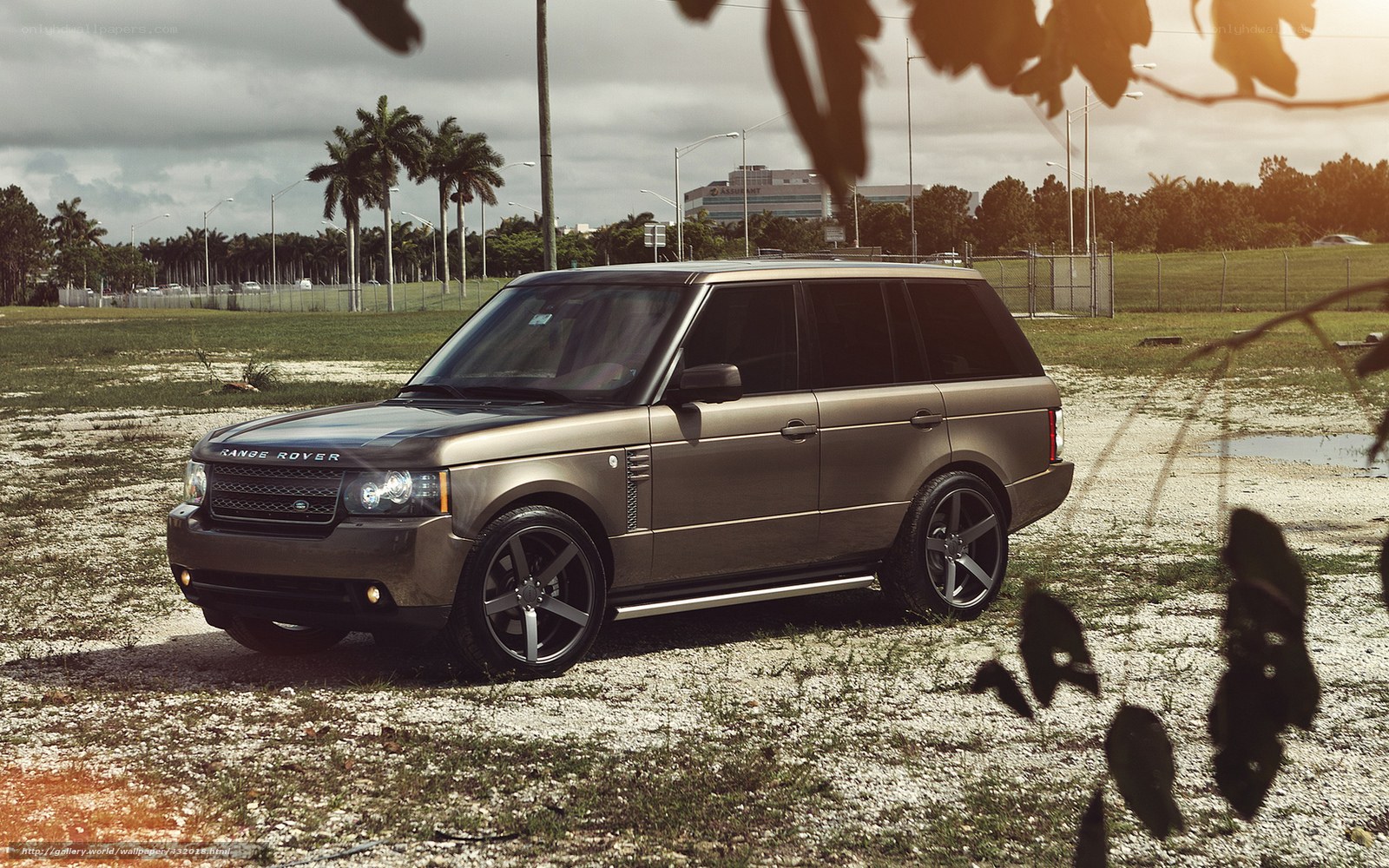 Brown Range Rover in a field
