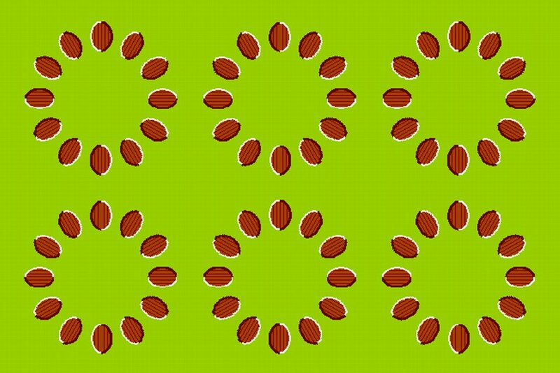 Brown Seeds in Circles