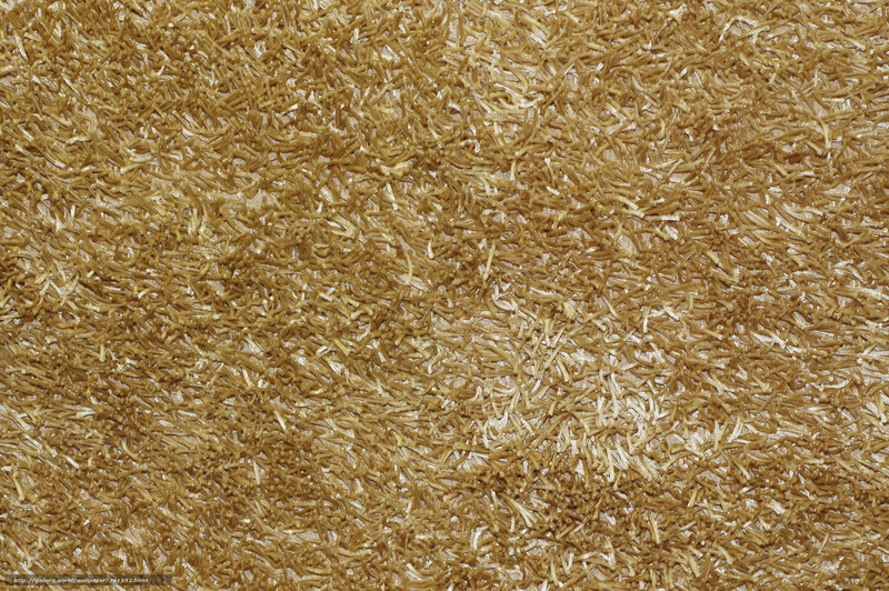 Brown Shag Carpet