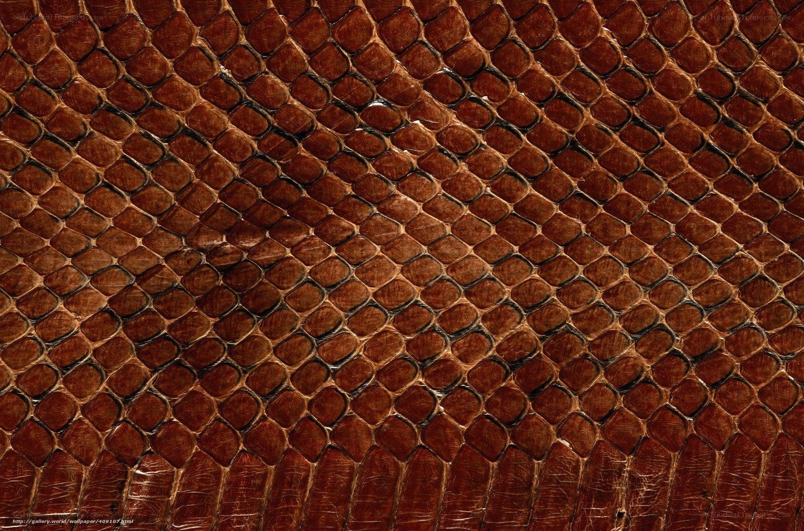 brown snake skin texture