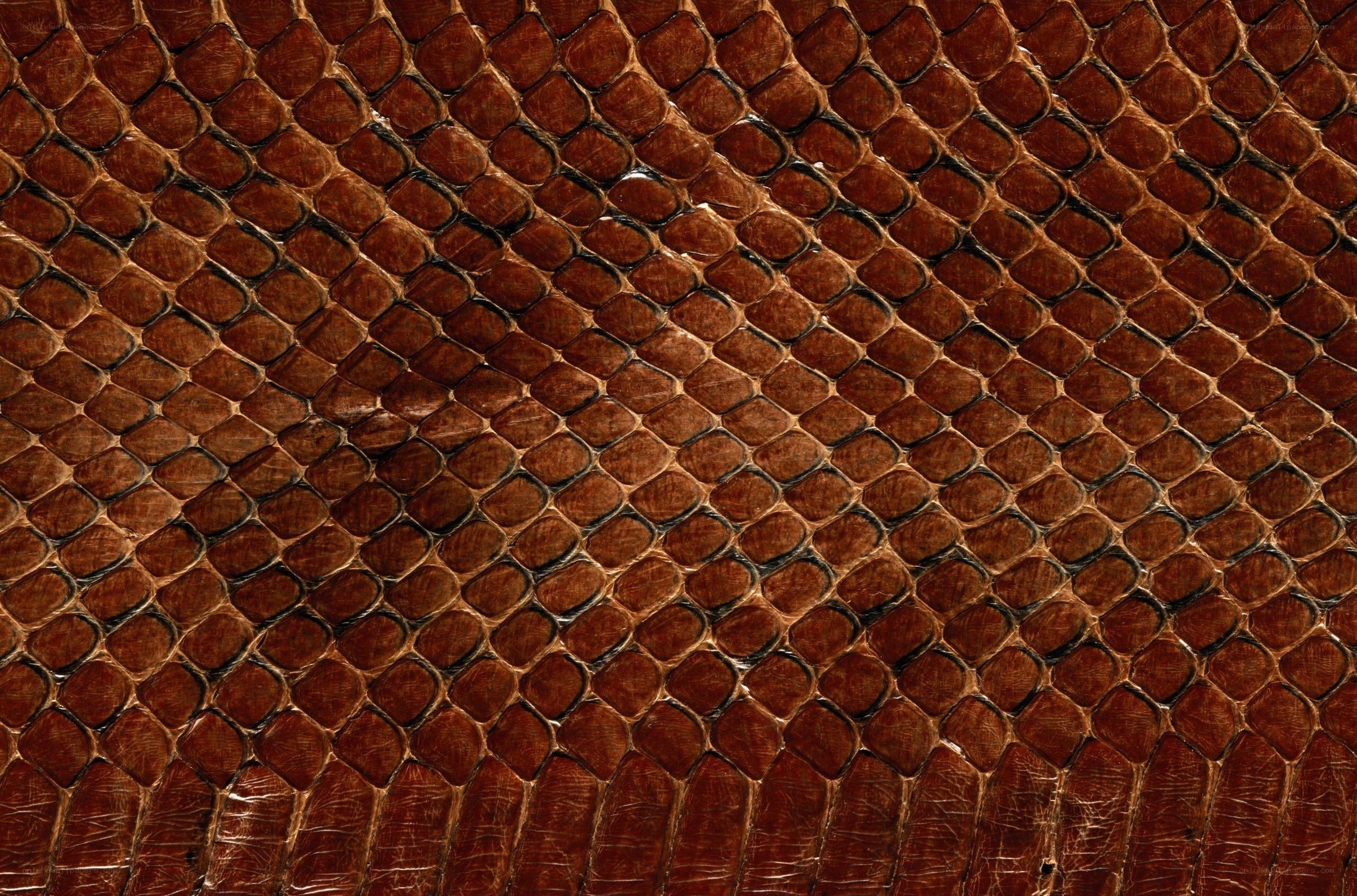 brown snake skin texture