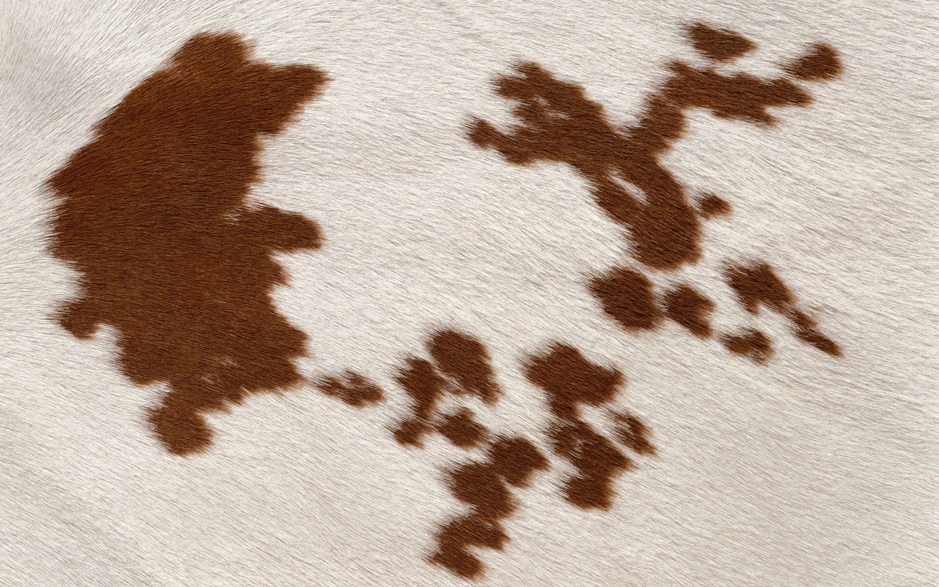 brown spots on white fur